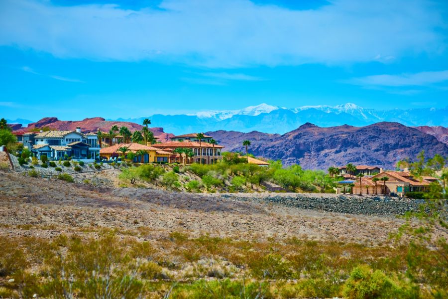 How to Protect Your Home from Common Pests in Henderson