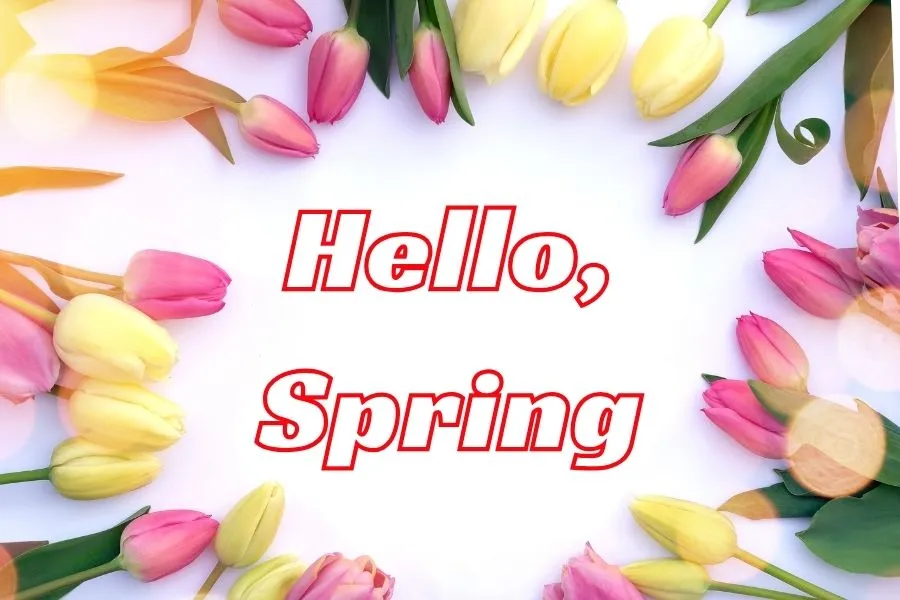spring pest prevention checklist