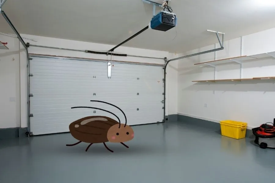 Pest-Proofing Your Garage: The Henderson Homeowner’s Guide